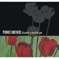 Konkurrent Pernice Brothers - Discover A Lovelier You (CD)