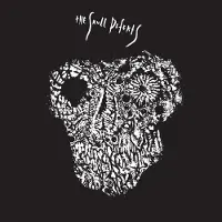 Konkurrent The Skull Defekts - The Skull Defekts (CD)