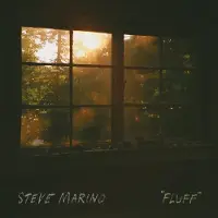 Konkurrent Steven Marino - Fluff (LP)