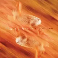 Konkurrent Chuck Johnson - Velvet Arc (LP)
