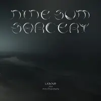 Konkurrent Labour Feat. Hani Mojtahedy - Nine-Sum Sorcery (LP)
