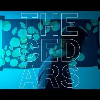Konkurrent John Vanderslice - The Cedars (LP)