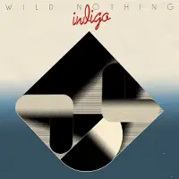 Konkurrent Wild Nothing - Indigo (LP)