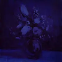 Konkurrent Deaf Wish - Lithium Zion (LP)