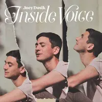 Konkurrent Joey Dosik - Inside Voice (LP) (Coloured Vinyl) (Limited Edition)