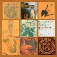 Konkurrent Califone - All My Friends Are Funeral Singers (2 LP)