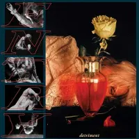 Konkurrent Entry - Detriment (LP)