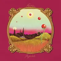 Konkurrent Forma - Physicalist (2 LP)