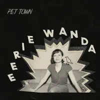 Konkurrent Eerie Wanda - Pet Town (LP)
