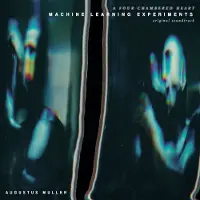 Konkurrent Augustus Muller - Machine Learning Experiments (LP)