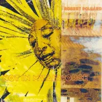 Konkurrent Robert Pollard - Not In My Airforce (LP) (Remastered) (Coloured Vinyl)