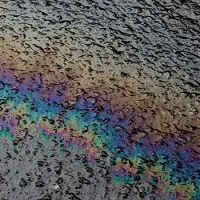 Konkurrent Laurel Halo - In Situ (CD)