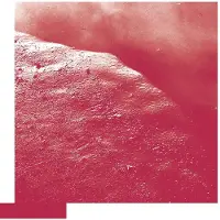 Konkurrent David Allred - The Cell (CD)