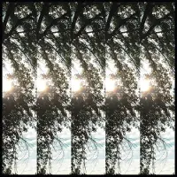 Konkurrent Pontiak - Dialectic Of Ignorance (LP)