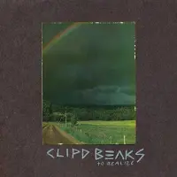 Konkurrent Clipd Beaks - To Realize (CD)