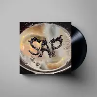 Konkurrent Okay Kaya - Sap (LP)