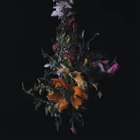 Konkurrent Big|Brave - Nature Morte (CD)