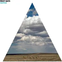 Konkurrent Fruit Bats - Tripper (LP)
