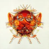 Konkurrent Senser - Schematic (CD)