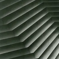 Konkurrent Disappears - Era (LP)