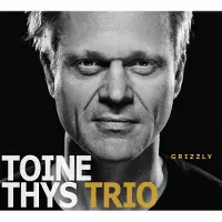 Ginza.se Toine Thys Trio - Grizzly (CD)