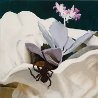 Konkurrent F Ingers - Awkwardly Blissing Out (LP)