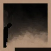 Konkurrent David Allred - Felt The Transition (LP) (Limited Edition)