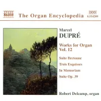 Naxos Orgelwerke Vol.12