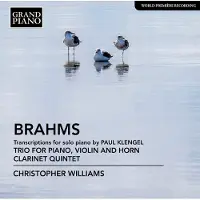 OUTHERE Christopher Williams - Brahms: Transcriptions For Solo Piano By Paul Klengel | Trio For Violin, Horn And Piano | Clarinet Quintet (CD)