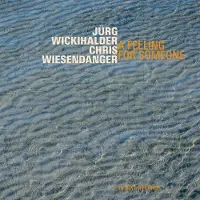 OUTHERE Jürg Wickihalder & Chris Wiesendanger - A Feeling For Someone (CD)