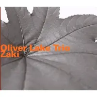 Ginza.se Oliver Lake Trio - Zaki (CD)
