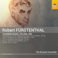 OUTHERE The Rossetti Ensemble - Fürstenthal: Chamber Music 1 (CD)