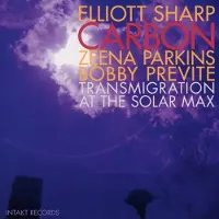 Import Transmigration at the solar max