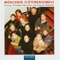Import Vom Piccolo Zur Kontrabassflöte