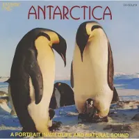 OUTHERE No Artist - Antarctica - A Portrait In Wildlife And Nature Sound (CD)