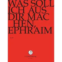OUTHERE Chor & Orchester Der J.S. Bach-Stiftung, Rudolf Lutz - J.S. Bach: Was Soll Ich Aus Dir Machen, (DVD)