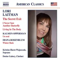 OUTHERE Kristine Hurst, Denise Gainey - The Secret Exit (CD)
