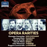 OUTHERE Various Artists - Opera Rarities (10 CD)