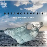 OUTHERE Metamorphosis