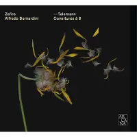 OUTHERE Zefiro, Alfredo Bernardini - Telemann: Ouvertures à 8 (CD)