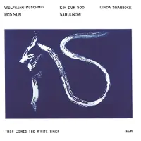 OUTHERE Wolfgang Puschnig, Red Sun, SamulNori, Linda Sharock, Kim Duk Soo - Then Comes The White Tiger (CD)