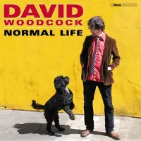Konkurrent David Woodcock - Normal Life (CD)