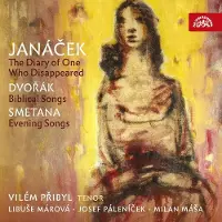 OUTHERE Vilém Pribyl, Libuse Marova, Josef Palenicek & Milan Mása - The Diary Of One Who Disappeared (CD)