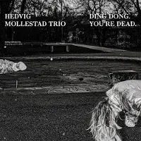 Konkurrent Hedvig Mollestad Trio - Ding Dong. You're Dead (CD)