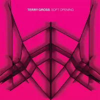 Konkurrent Terry Gross - Soft Opening (LP) (Coloured Vinyl)