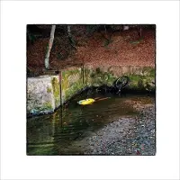 Konkurrent Franck Vigroux - Totem (CD) (Limited Edition)