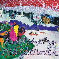 Konkurrent Lavender Holyfield - Rabbitboxing Midnightmouth (LP)