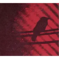 Konkurrent Thee Silver Mt. Zion Memorial Orchestra - Born Into Trouble As The Sparks Fly Upward. (2 10" LP)
