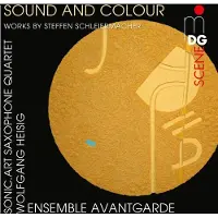 OUTHERE Ensemble Avantgarde, Sonic.Art, Wolfgang Heisig - Schleiermacher: Sound And Colour (CD)