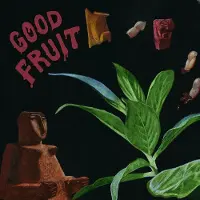 Konkurrent Teen - Good Fruit (LP)